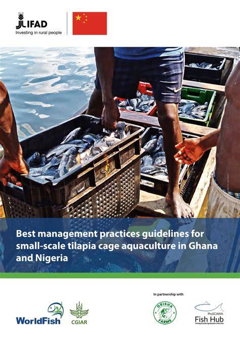 Better Management Practices for Tilapia Aquaculture: - raincitystudios.com