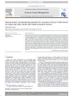Beyond carbon: Conceptualizing payments for ecosystem services in blue ... - raincitystudios.com