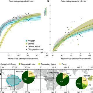 Beyond degradation metrics: Ecological value of degraded forests and ... - raincitystudios.com