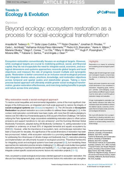 Beyond ecology: ecosystem restoration as a process for social ... - raincitystudios.com