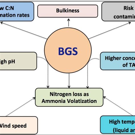BGS Application Server - wintechmobiles.com