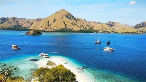 Biaya Masuk Taman Nasional Komodo - raincitystudios.com