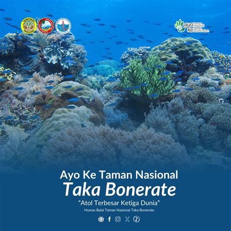 Biaya Masuk Taman Nasional Taka Bonerate - Ambisius Wiki - raincitystudios.com