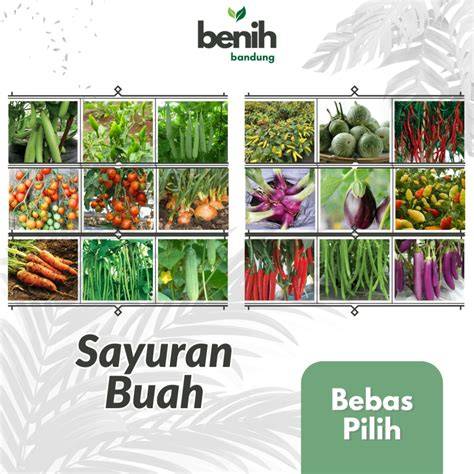 Bibit buah dan sayur.... - Plants, Seeds & Bulbs - raincitystudios.com