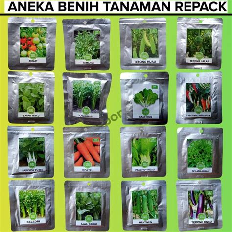BIBIT READY... #bibit #kelengkeng #kelengkengitoh #berkebun - raincitystudios.com