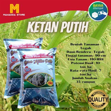 Bibit unggul - Plants, Seeds & Bulbs - Palu - raincitystudios.com