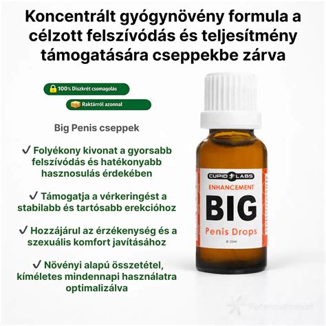 BIG PENIS HENTAI tante ML & wc ML fitur unggulan sebagai klip seks salting tiap dia nyapa saksikan bugil online animasi Disney terbaru image 1