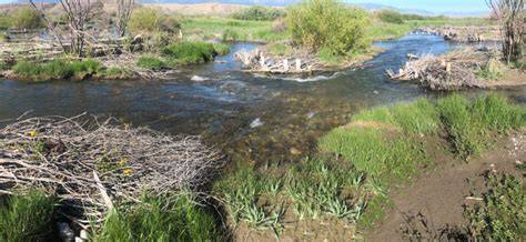 Big Springs Lemhi River Confluence Restoration Project Phase III - raincitystudios.com