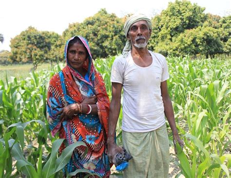 BIHAR AGRICULTURE