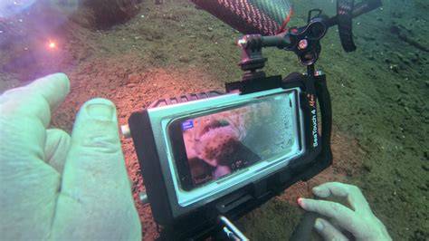 Bill’s BACK with another underwater photo tip for shooting in the ... - raincitystudios.com