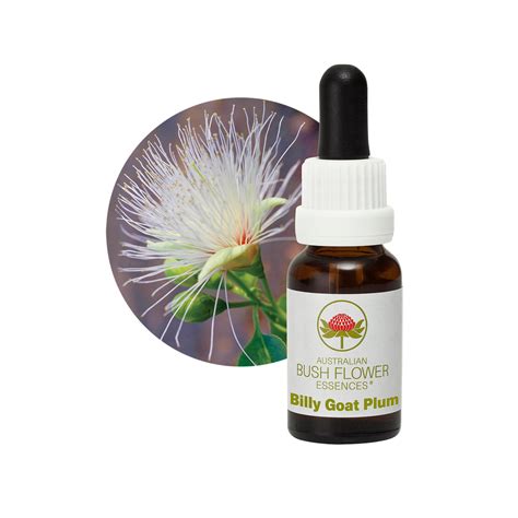 BILLY GOAT PLUM Australian Bush Flower Essences