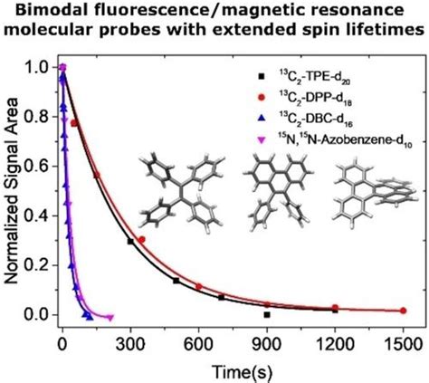 Bimodal Fluorescence/Magnetic Resonance Molecular Probes with - wintechmobiles.com