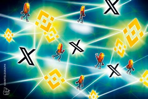 Binance Dominates Among Chinese Crypto Users, X Provides Guidance