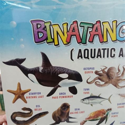 Binatang Air - raincitystudios.com