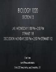 Bio 1020 - Qs #4 Flashcards | Quizlet - muktibox.com