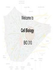 BIO 310 - Lecture 7 Notes on Synaptic Transmission and ... - Studocu - muktibox.com