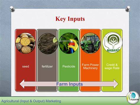 Bio Agri Inputs - CEF Group - raincitystudios.com