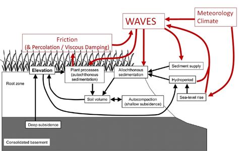 Bio-physical interactions - University of Plymouth - raincitystudios.com