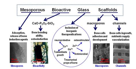 Bioactive Glass Scaffolds For Tissue Engineering PPT ... - SlideTeam - wintechmobiles.com