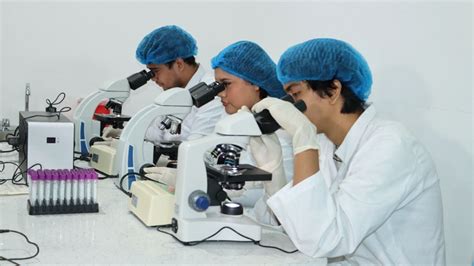 Bioanalisis Adalah - muktibox.com