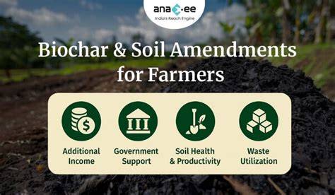 Biochar: An Organic Amendment for Sustainable Soil Health - raincitystudios.com
