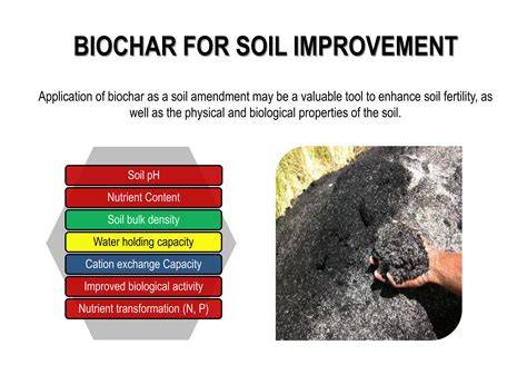 Biochar as a tool for the improvement of soil and … - raincitystudios.com