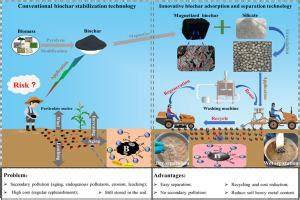 Biochar for soil remediation: A comprehensive review of current ... - raincitystudios.com