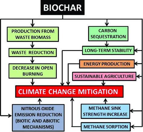 Biochar in climate change mitigation - Nature Geoscience - raincitystudios.com