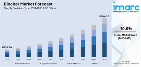 Biochar Market Size, Share, Growth | CAGR Forecast - raincitystudios.com
