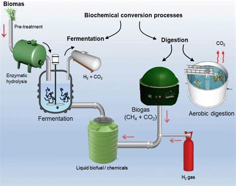 Biochemical Conversion: - Department of Energy - wintechmobiles.com