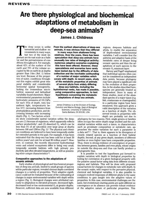 Biochemical ecology of deep-sea animals - Springer - raincitystudios.com