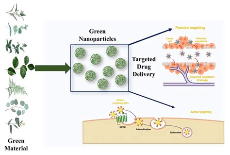 Biochemical Engineering of Green Nanomaterials for Targeted Drug ... - wintechmobiles.com