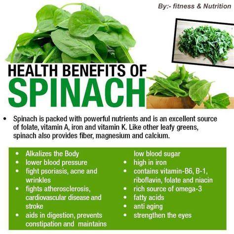 Biochemistry, Nutritional Composition, And Health Benefits Of Spinach ... - raincitystudios.com