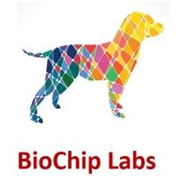 BIOCHIP LABS, INC. - Ohio Company