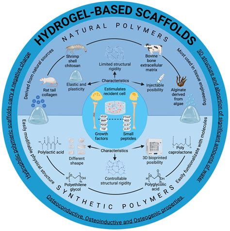 Biocompatibility of hydrogel-based scaffolds for tissue engineering ... - wintechmobiles.com