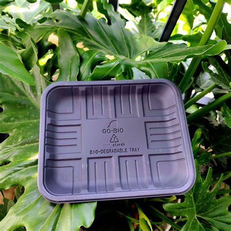 Biodegradable Cornstarch Meat Trays - Eco-Friendly - raincitystudios.com
