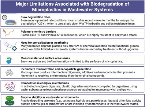 Biodegradation Potential of Microplastics by Comamonas testosteroni … - raincitystudios.com