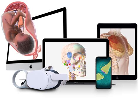 BioDigital | Interactive 3D Anatomy - Disease Platform - muktibox.com