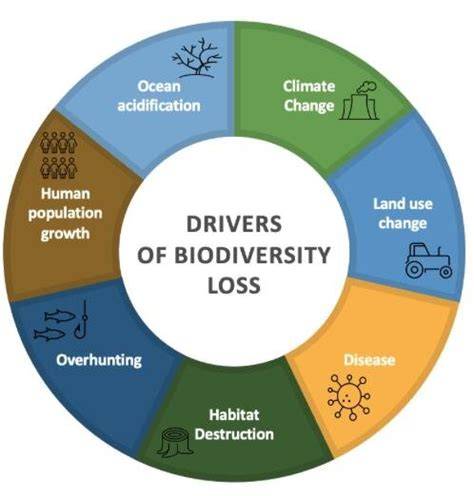 Biodiversity, environmental drivers, and sustainability of the global ... - raincitystudios.com