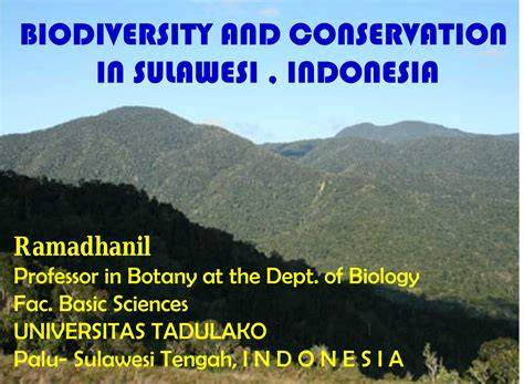 BIODIVERSITY AND CONSERVATION IN SULAWESI … - raincitystudios.com