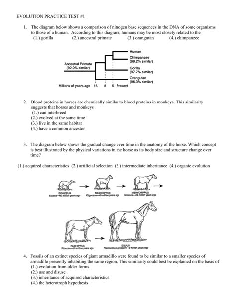 Biodiversity and Evolution Practice Test - Quizlet - wintechmobiles.com
