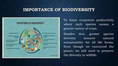 Biodiversity and sustainable development | Expertise France - raincitystudios.com