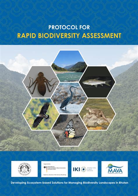 Biodiversity Assessment & Marine Monitoring Using AI - raincitystudios.com