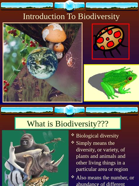 Biodiversity Conservation Essentials - raincitystudios.com