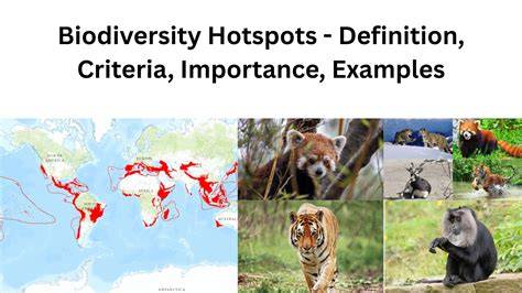 Biodiversity highlights - SANBI - raincitystudios.com