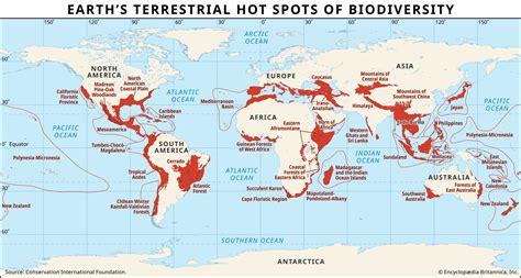 Biodiversity Hot-Spots - raincitystudios.com