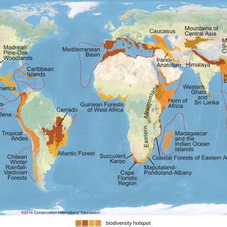 Biodiversity hotspots: A shortcut for a more complicated concept - wintechmobiles.com