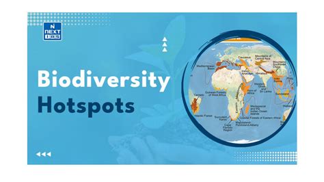 Biodiversity hotspots - GeeksforGeeks - wintechmobiles.com