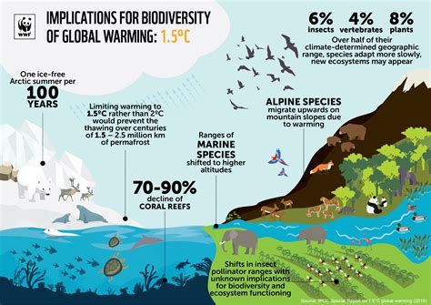 Biodiversity loss in warming oceans - Stanford Doerr … - raincitystudios.com