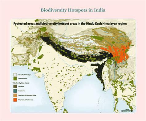 Biodiversity of India, Biodiversity Hotspots of India - raincitystudios.com